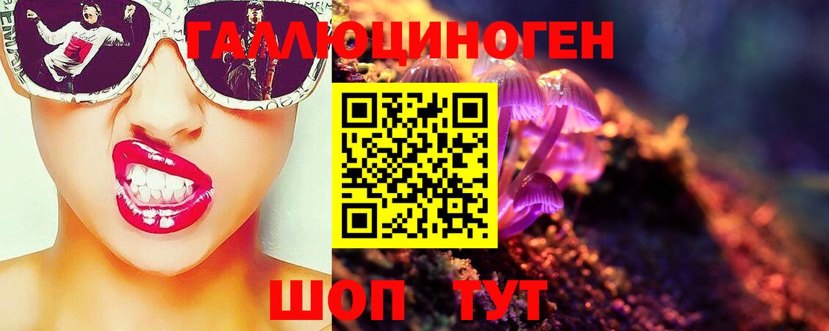 Псилоцибиновые грибы прущие грибы Елец
